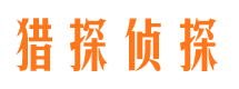 亚东市侦探公司